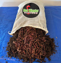 Buy Worms: The Ultimate Composting Powerhouse